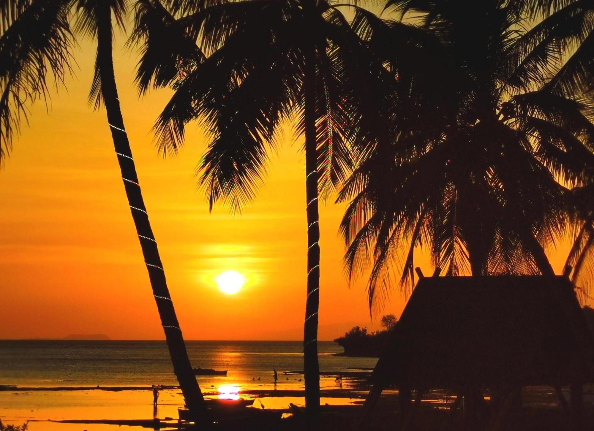 Blue Joys Msr Hotel Siquijor Bagian luar foto