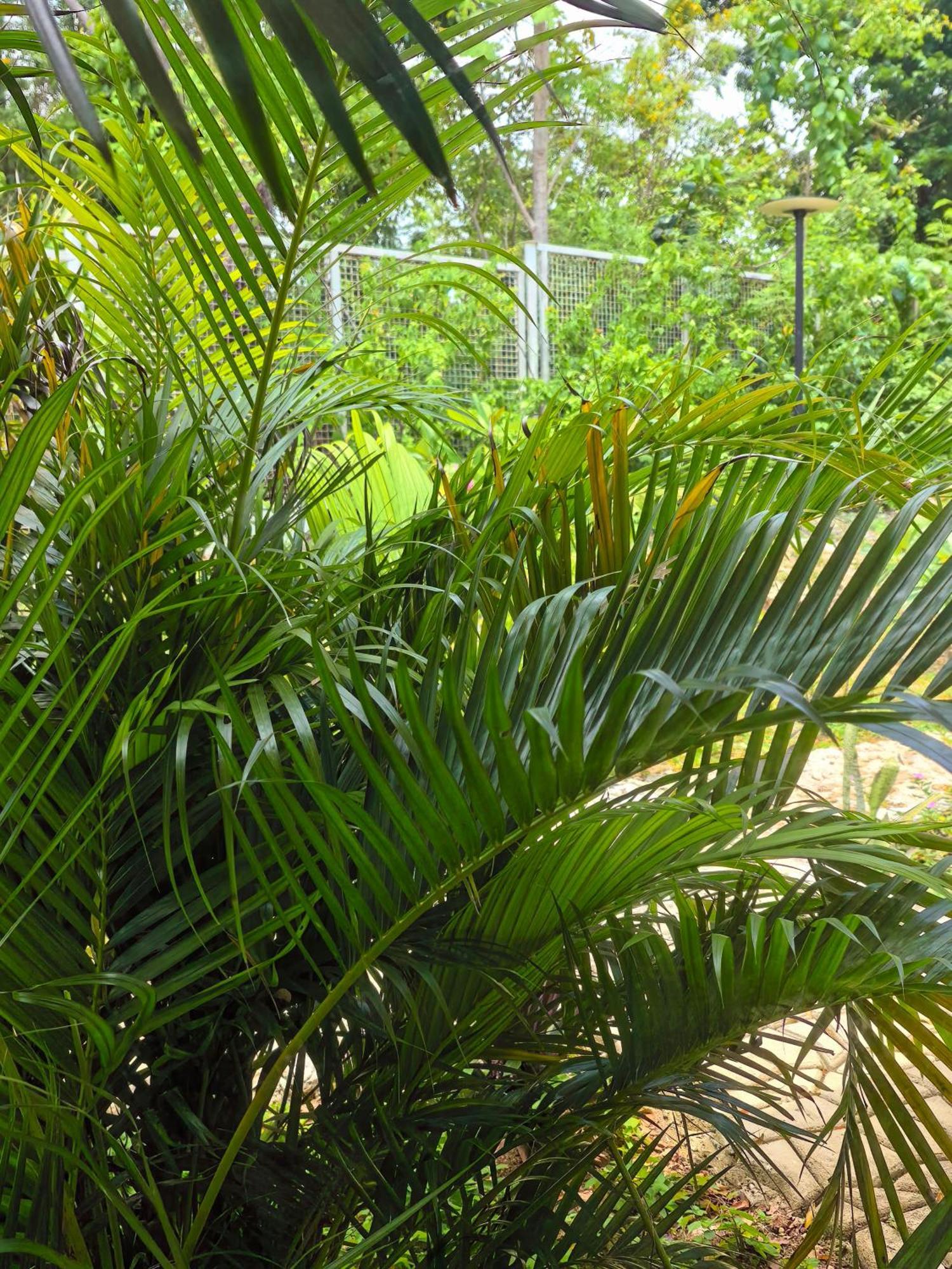 Blue Joys Msr Hotel Siquijor Bagian luar foto