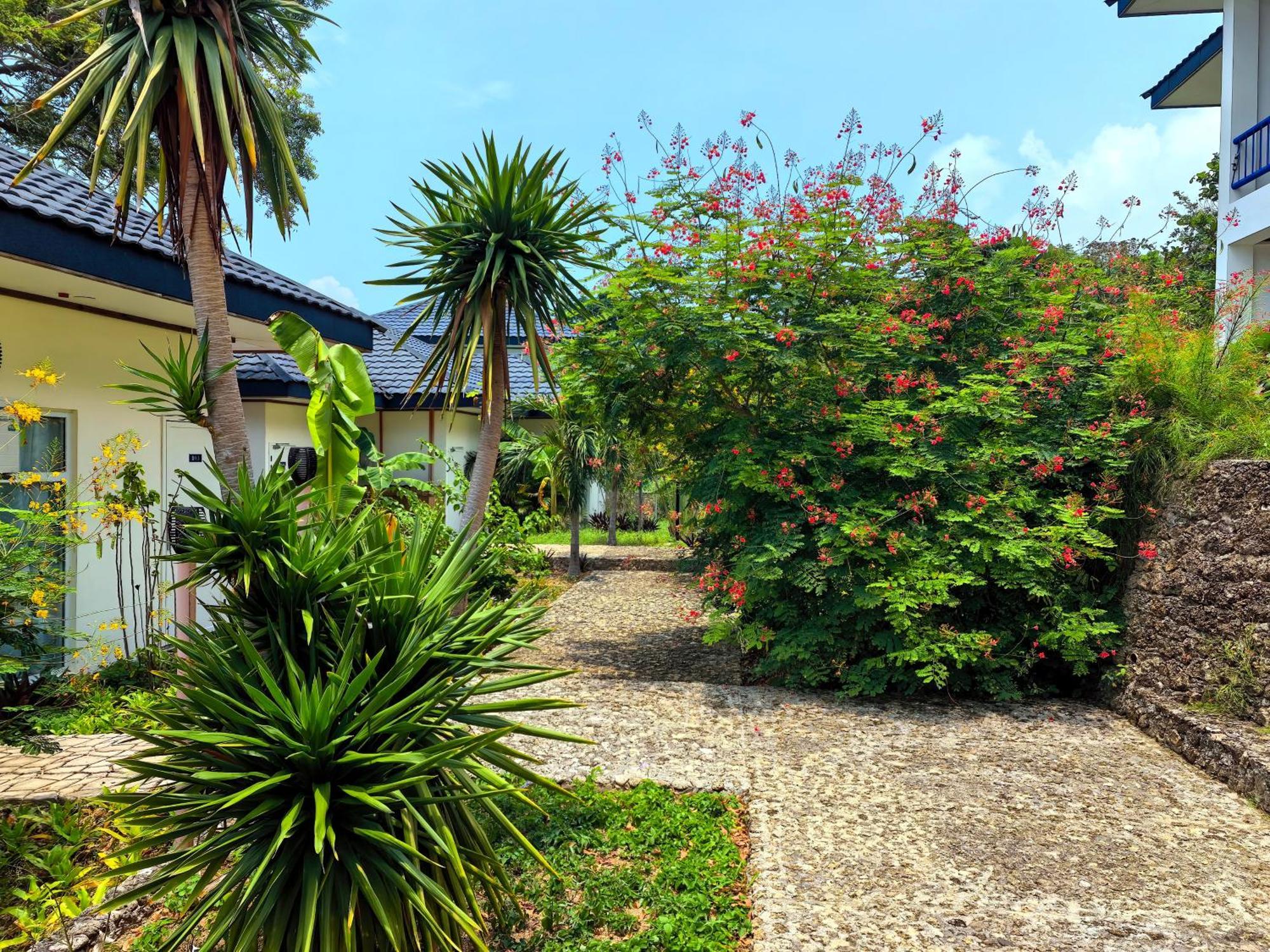 Blue Joys Msr Hotel Siquijor Bagian luar foto